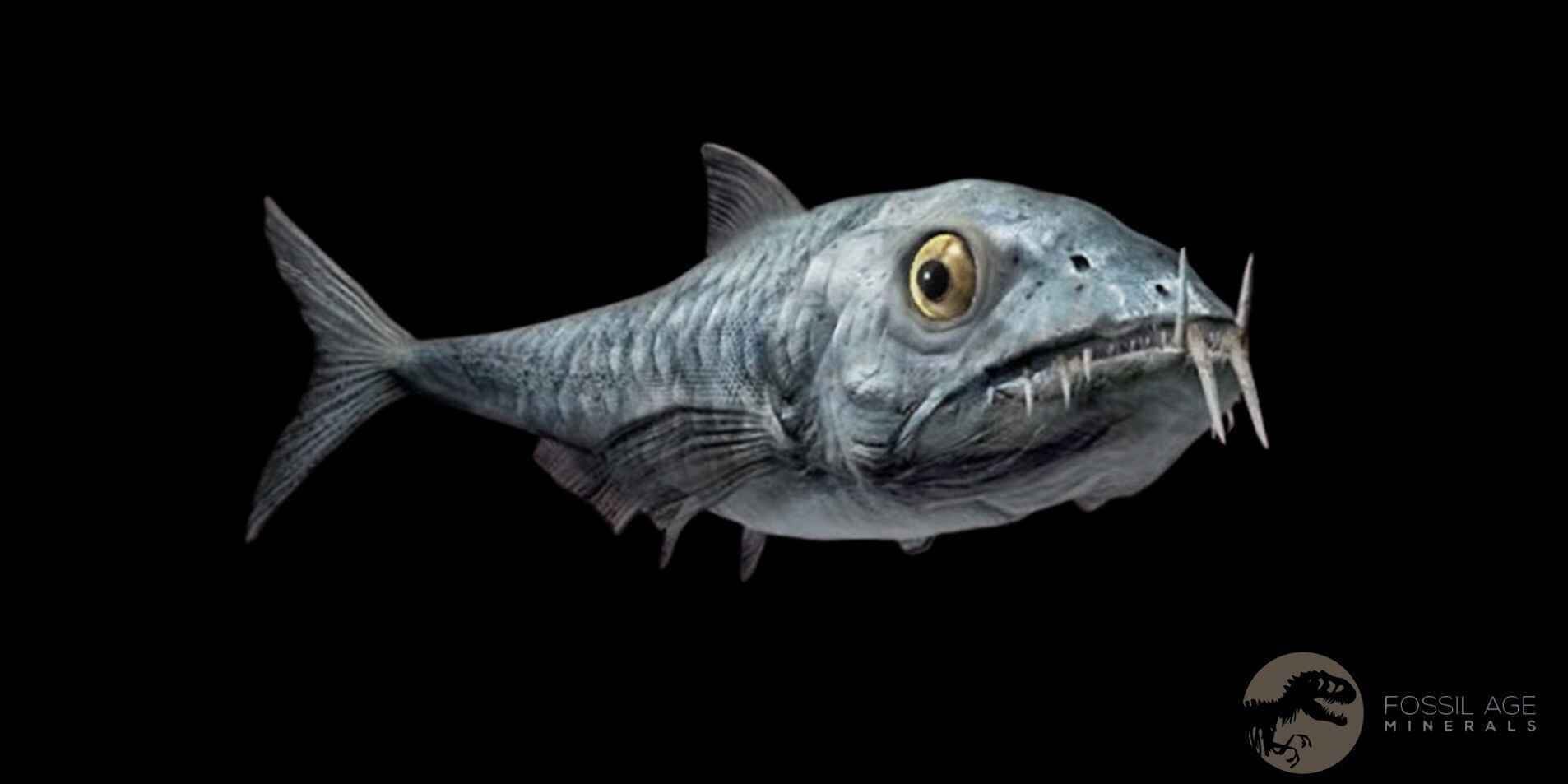 2.8