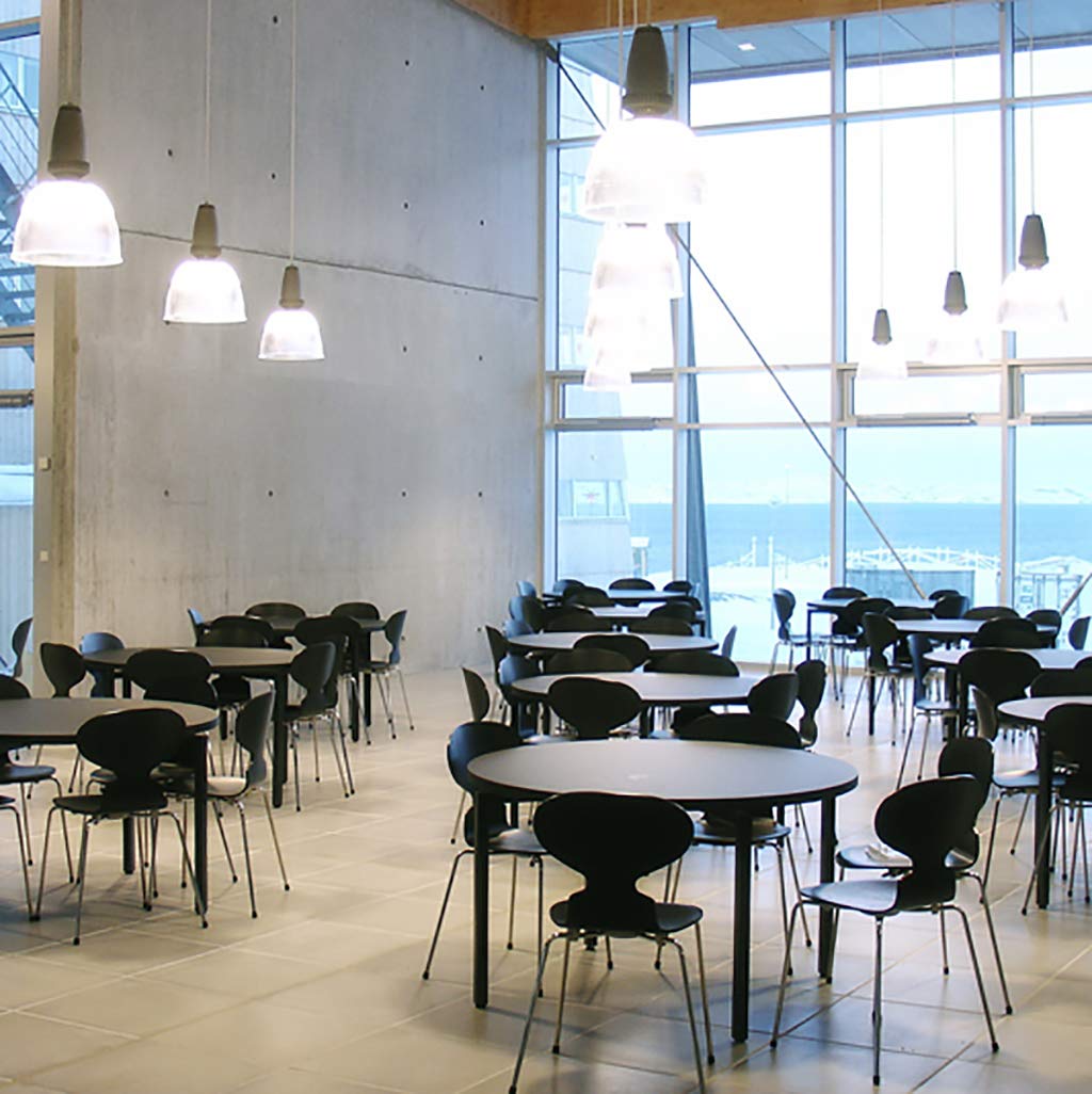 Ergonomic Ant Chair - Curved Wood Seat & Iron Legs for Restaurant, Office & Home