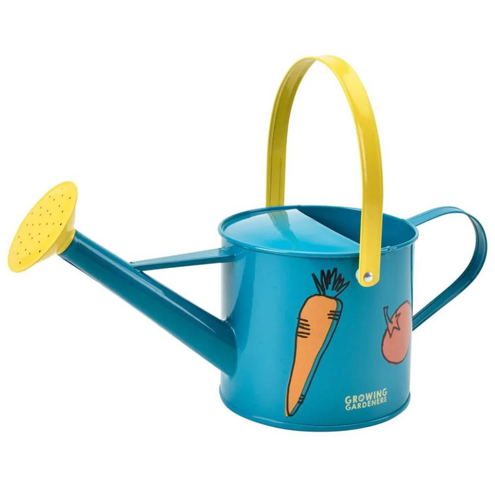 Burgon & Ball Premium Metal Watering Can for Gardeners - 1 Gallon Capacity, Ergonomic Handle for Easy Pouring - Perfect for Indoor Plants, Outdoor Gardens, and Greenhouses
