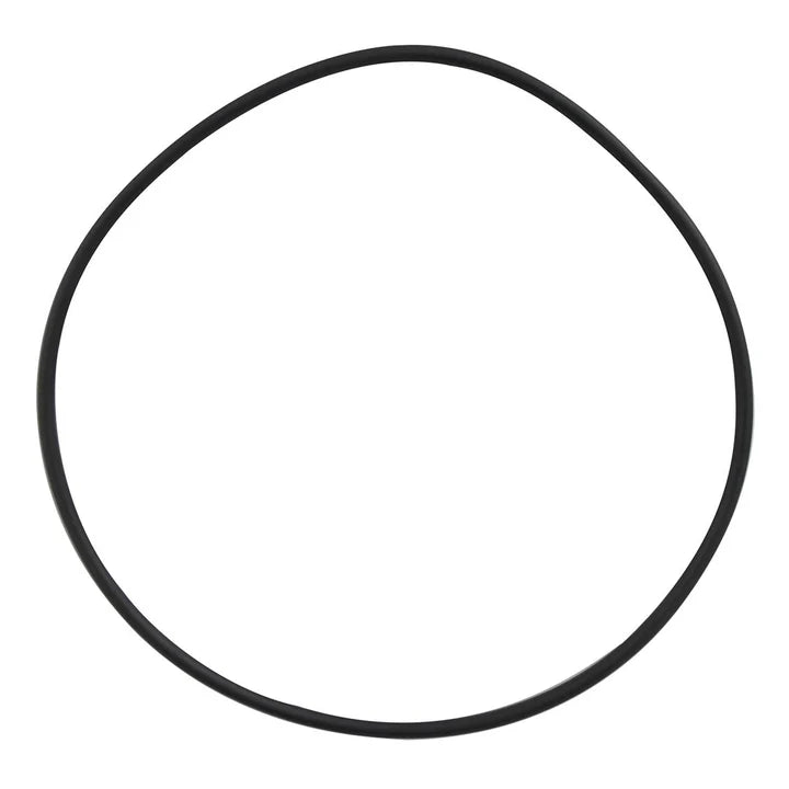 Davey EcoPure CF & Easyclear Crystal Clear Cartridge Filter Lid O-Ring Replacement - Perfect for Pool & Spa Maintenance, Water Filtration Systems