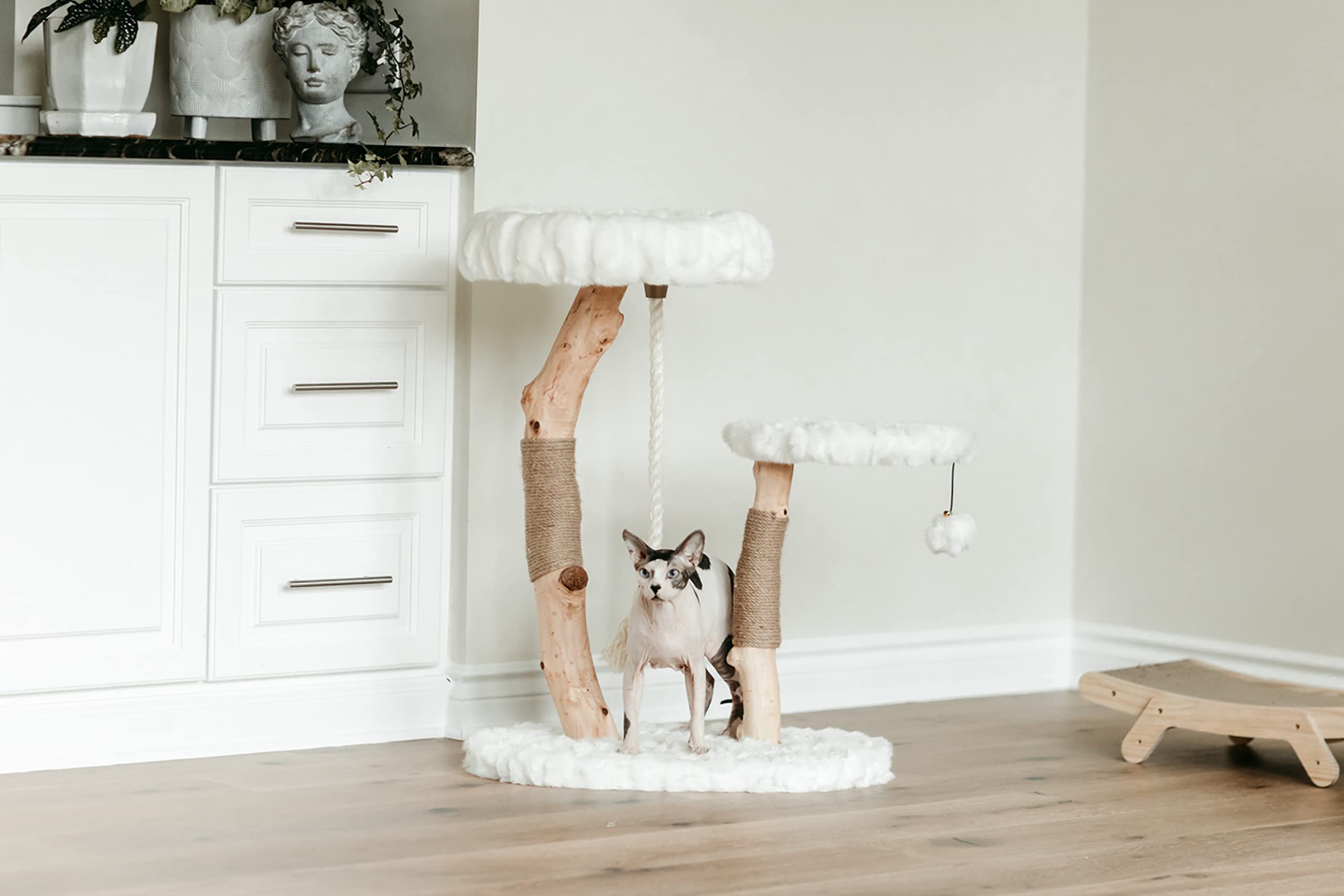 Luxury Modern Cat Tree & Wood Cat Tower - Natural Branch Scratching Post & Cat Condo | Premium Cat Furniture for Indoor Cats | Perfect for Apartments & Home Decor