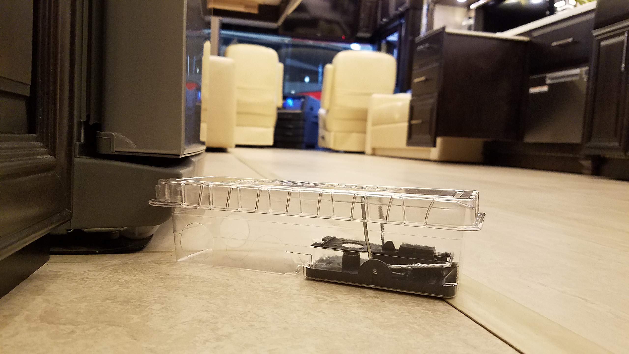 DoomBox™ Clear Enclosed Mouse Trap - Humane & Effective Rodent Control with Patented Click-It™ Closure | Safe for Kids & Pets | Child Resistant Certified | Made in USA (10 Pack) | Ideal for Home, Garage, Basement & Outdoor Use