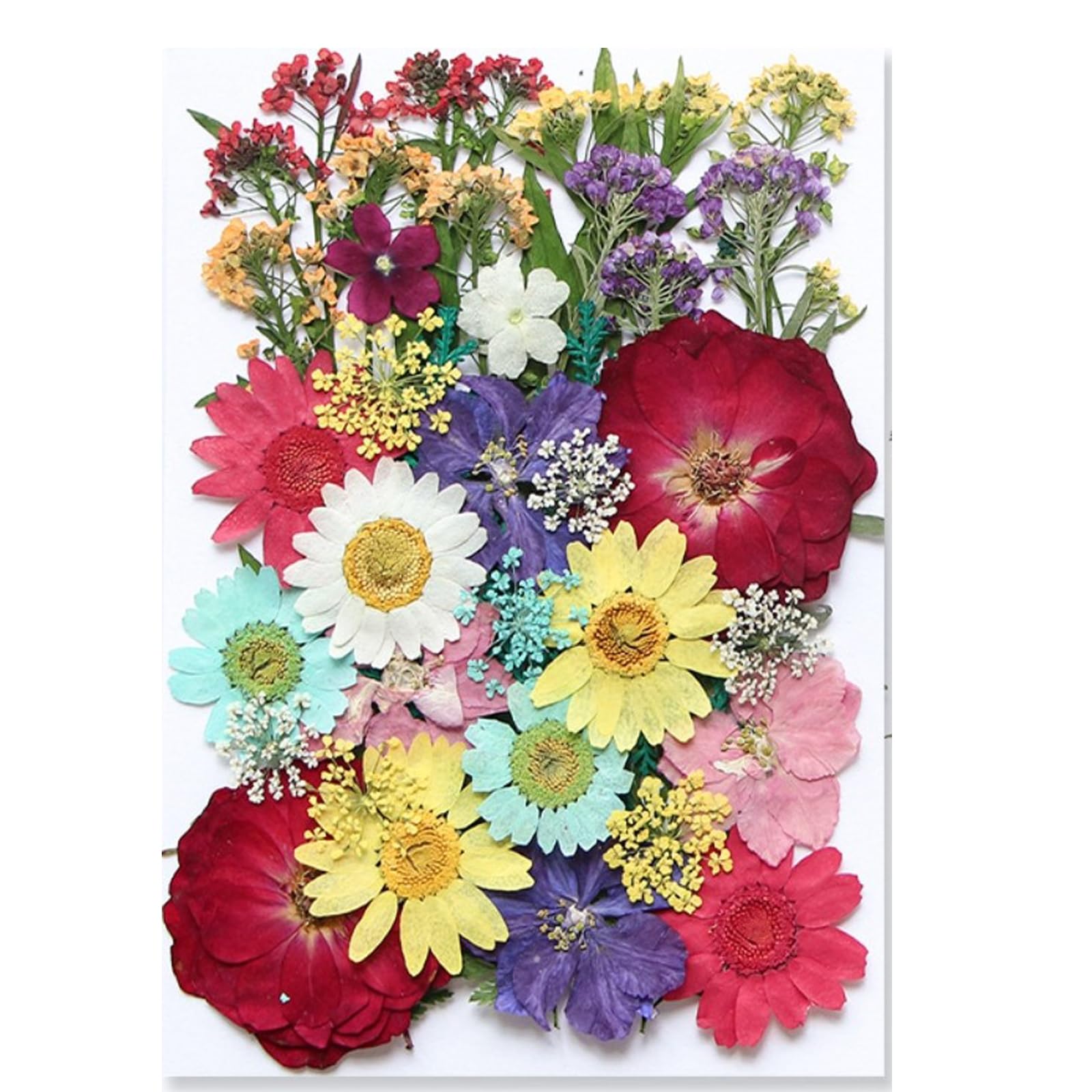 40 Pcs Dried Pressed Flowers for Resin DIY Art Crafts - Natural Herbs Leaves & Dry Plants for Epoxy Jewelry, Floral Decor, Cakes, Phone Cases, Candles & Handmade Soap - Perfect for Summer Wedding, Home Decor & Scrapbooking Projects