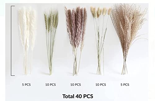 40 Pcs Natural Dried Pampas Grass 18