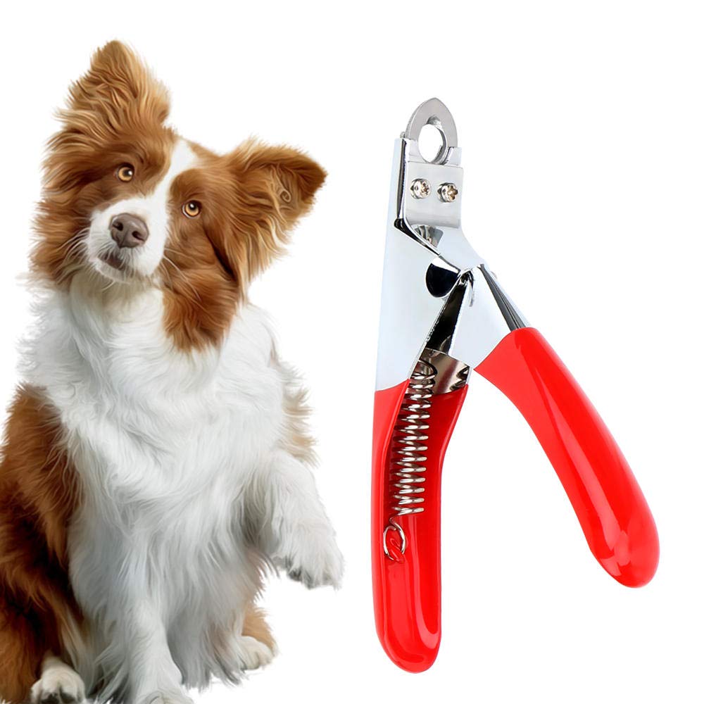 Premium Stainless Steel Pet Nail Clippers for Cats & Dogs - Safe & Sharp Pet Grooming Tool with Non-Slip Handle - 1PC Black Pet Nail Trimmer for Professional Home Grooming and Pet Care