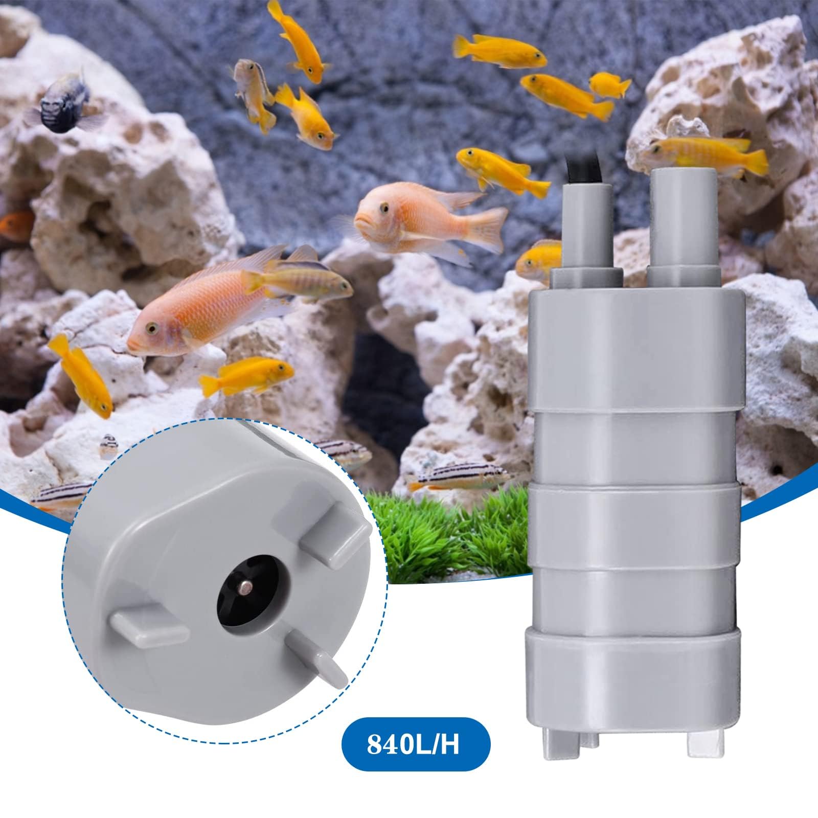 12V Submersible Water Pump 840L/H High Flow for RV, Aquarium, Pond, Water Fountains, Hydroponic Systems - Ideal for Outdoor, Garden & Home Use