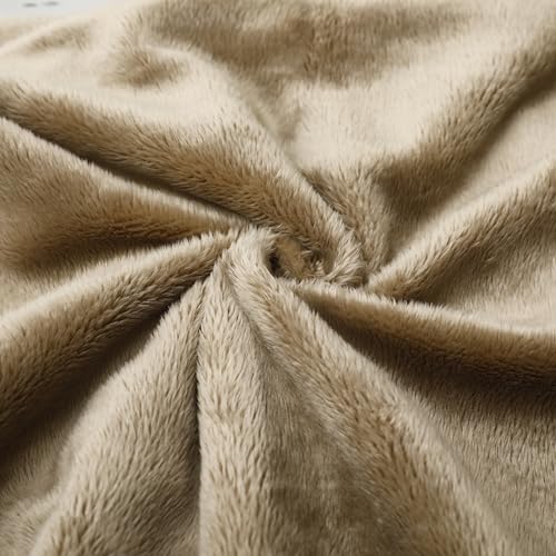 Camel Fur