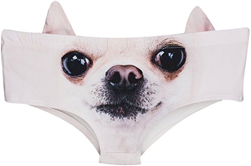09chihuahua