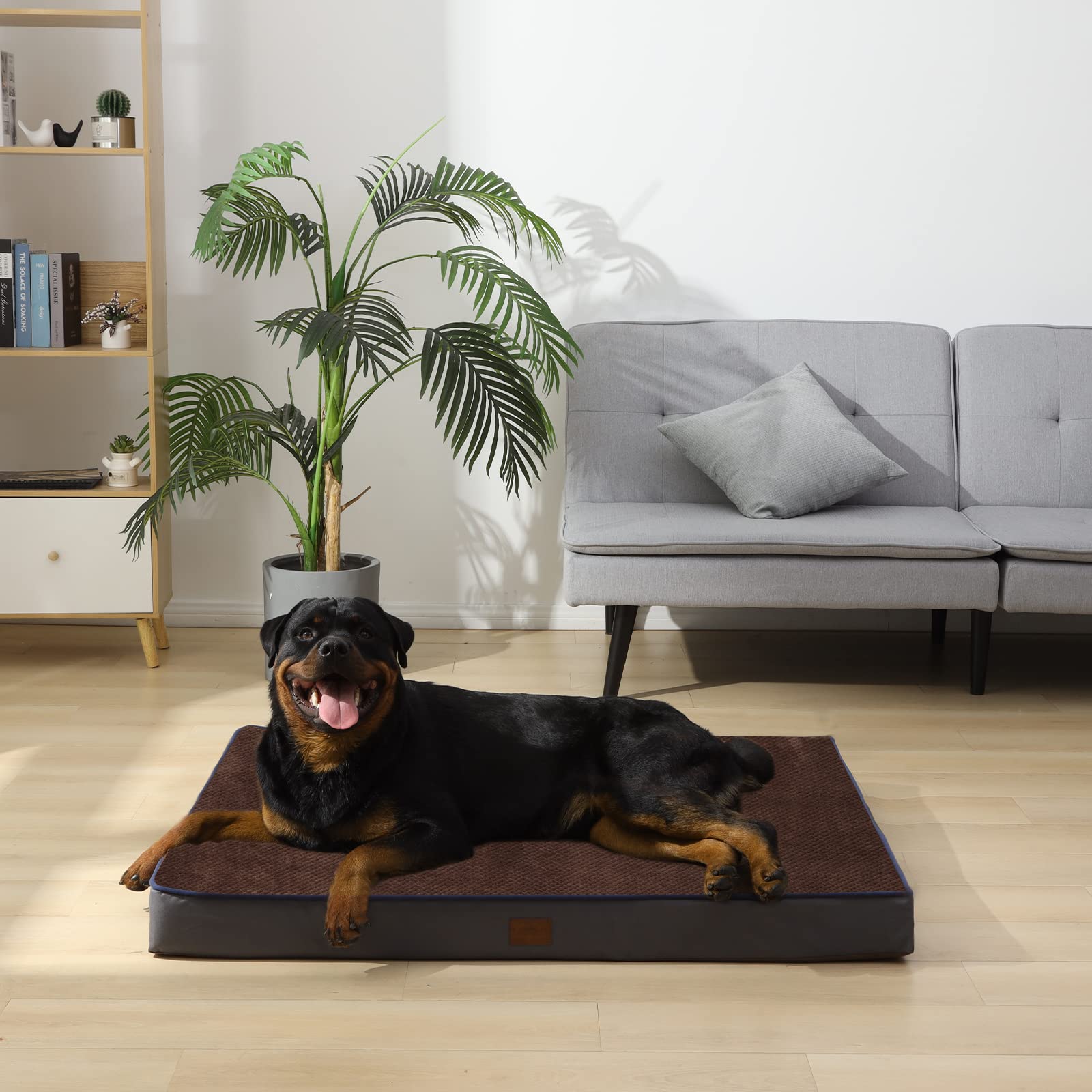 Orthopedic Memory Foam Dog Bed for Large Dogs - 4