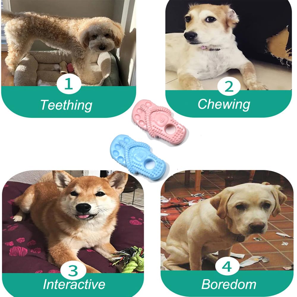 Durable 2 Pack Puppy Chew Toys for Small Dogs - Interactive Teething & Training Dog Toys (Blue & Pink) - Perfect for Puppy Teething Relief and Obedience Training