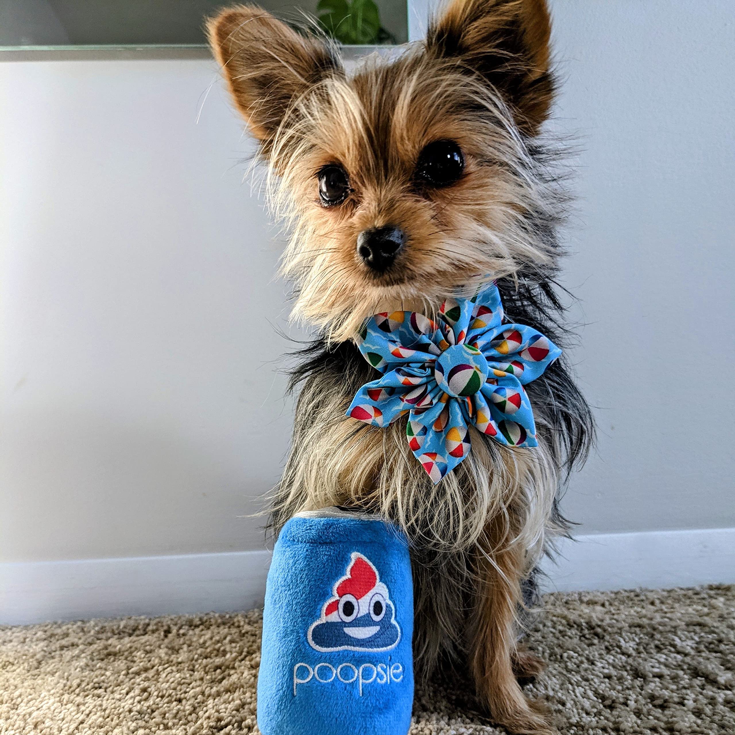 Huxley & Kent Squeaky Plush Dog Toy for Small Dogs - Funny & Cute Poopsie Cola Design with Built-in Squeaker | Perfect for Playtime, Training Rewards & Interactive Bonding with Your Pet