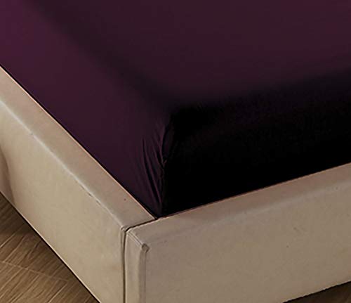 Eggplant Purple