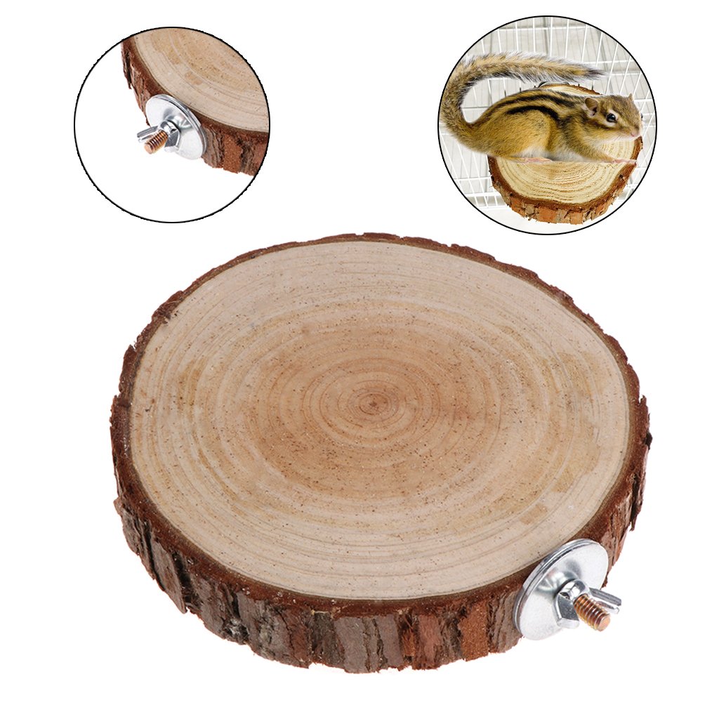 Natural Wooden Bird Perch Stand - Round Platform for Parrots, Chinchillas & Squirrels | Cage Accessory for Climbing & Resting | Perfect for Small Pets' Exercise & Playtime