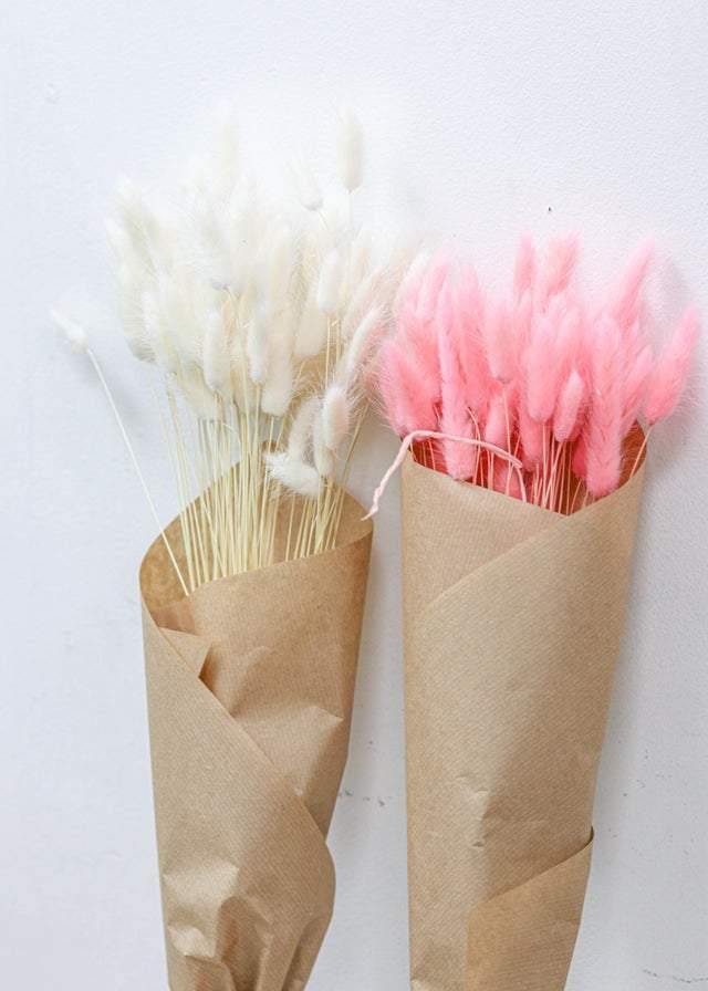 Lagurus Dried Floral Bunch - Natural Bunny Tail Grass for Home Decor, Wedding Centerpieces & DIY Crafts | Perfect for Boho, Farmhouse & Rustic Style Arrangements