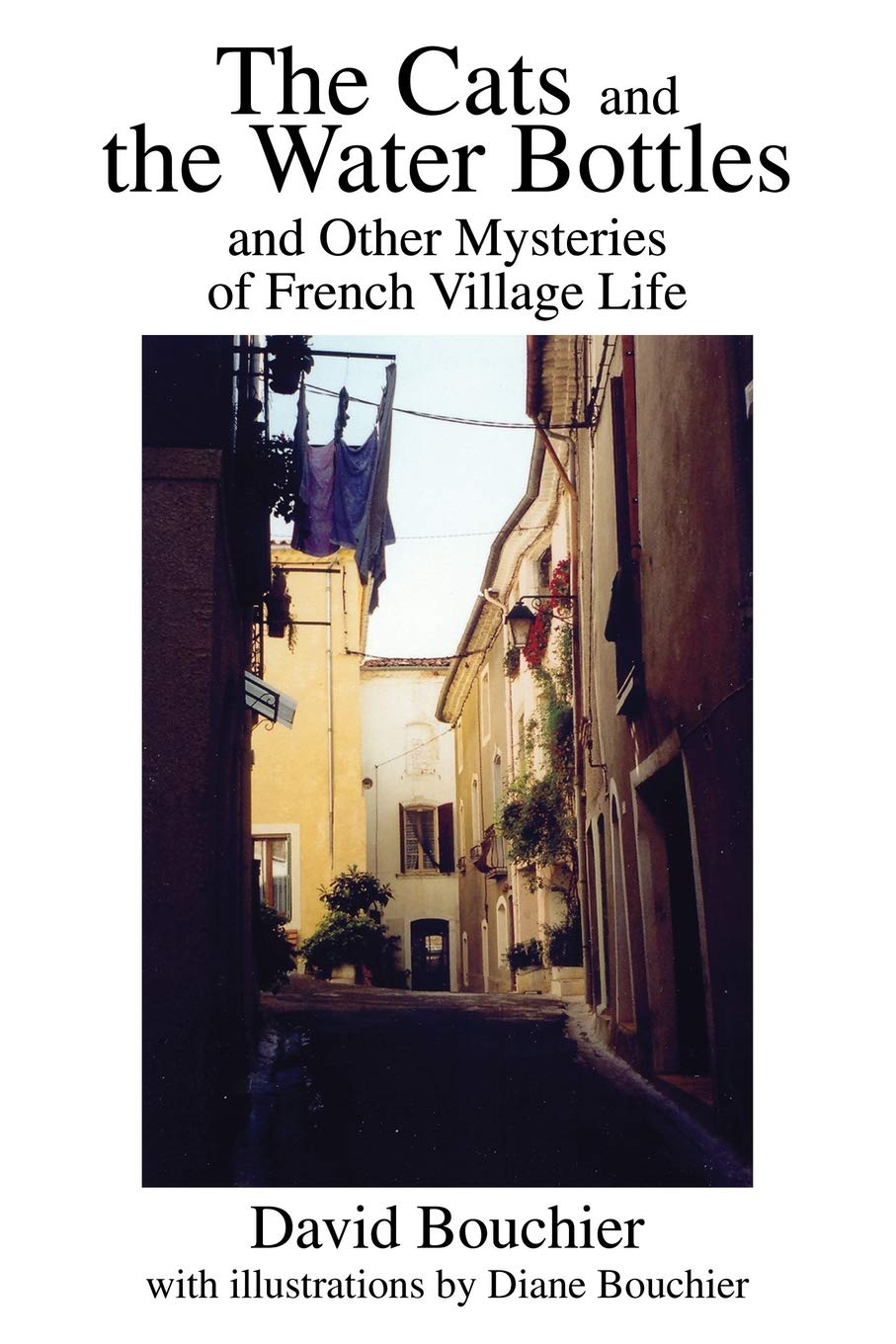 The Cats and the Water Bottles: Exploring French Village Life Mysteries - Perfect for Travel Enthusiasts & Francophiles