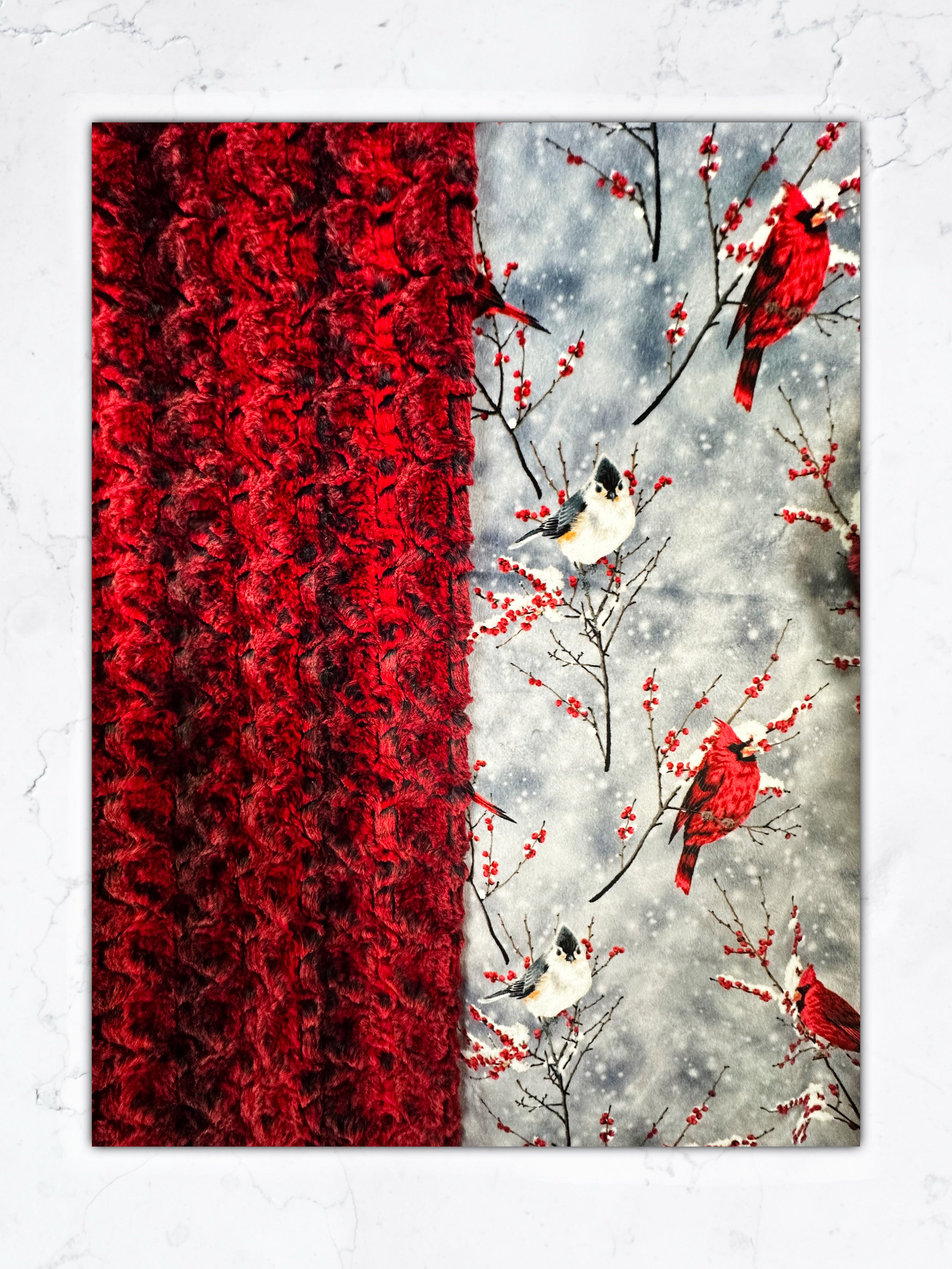 Cardinal Sparrow on Paloma Rocket - Soft Adult Large Blanket 55x75 Inches - Cozy Throw for Bed, Couch & Outdoor Picnics