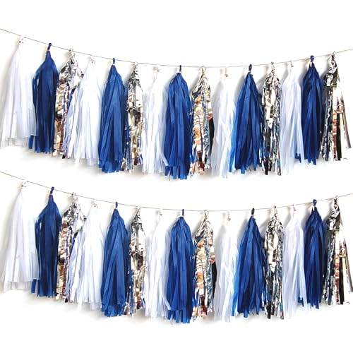 Navy Blue/White/Silver