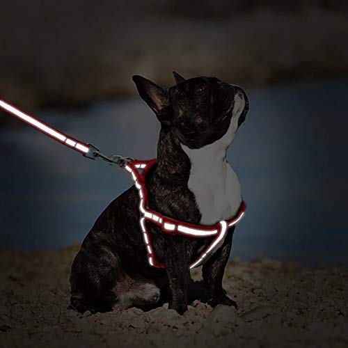 **Woofy 15mm Reflective Pet Collar & Harness Set - Adjustable Soft Nylon Dog Collar, Harness & Leash for Small Dogs & Puppies (Red) - Perfect for Night Walks & Outdoor Adventures**