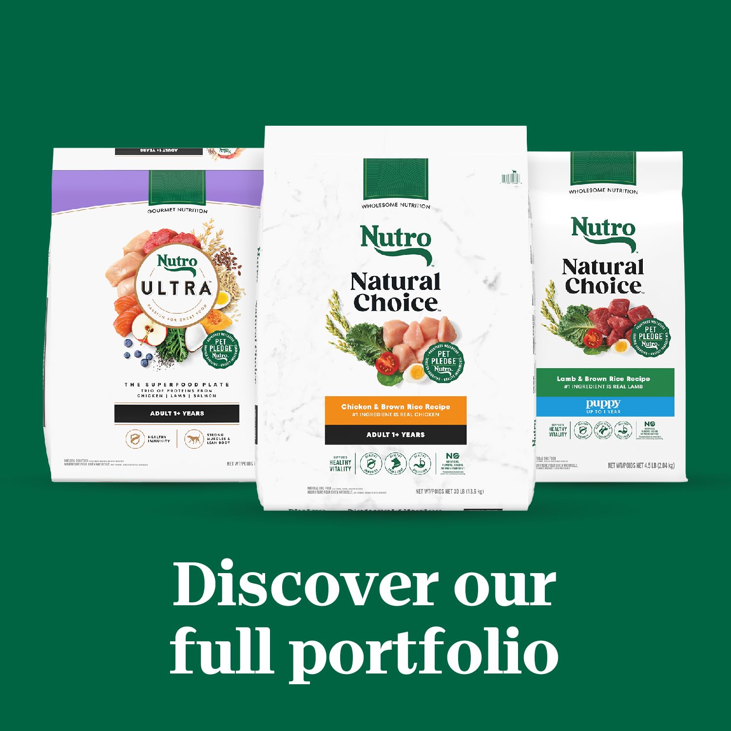 Nutro Natural Choice Adult Small Breed Dry Dog Food - Chicken & Brown Rice Recipe, 13 lb Bag - High Protein Kibble for Small Dogs - Perfect for Indoor Pets & Active Lifestyles