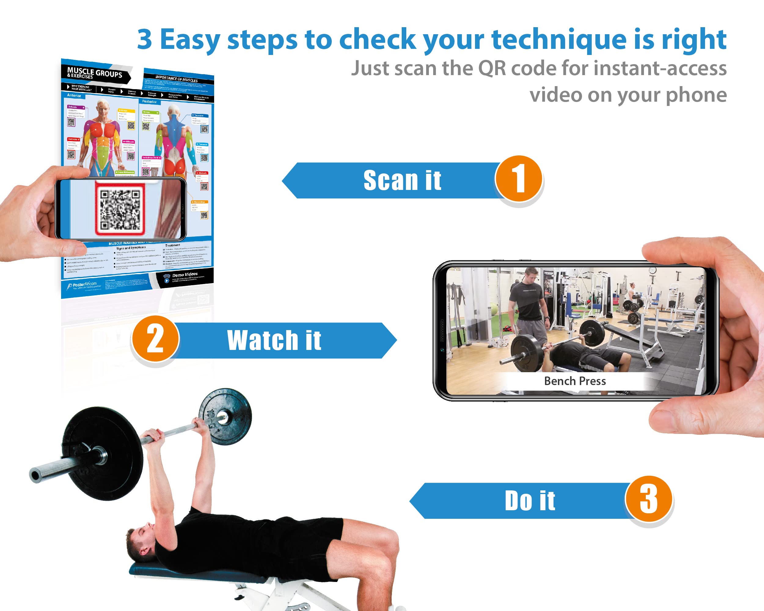 Home Gym Workout Posters - Set of 20 Laminated Exercise Charts with Muscle Group Guide (24