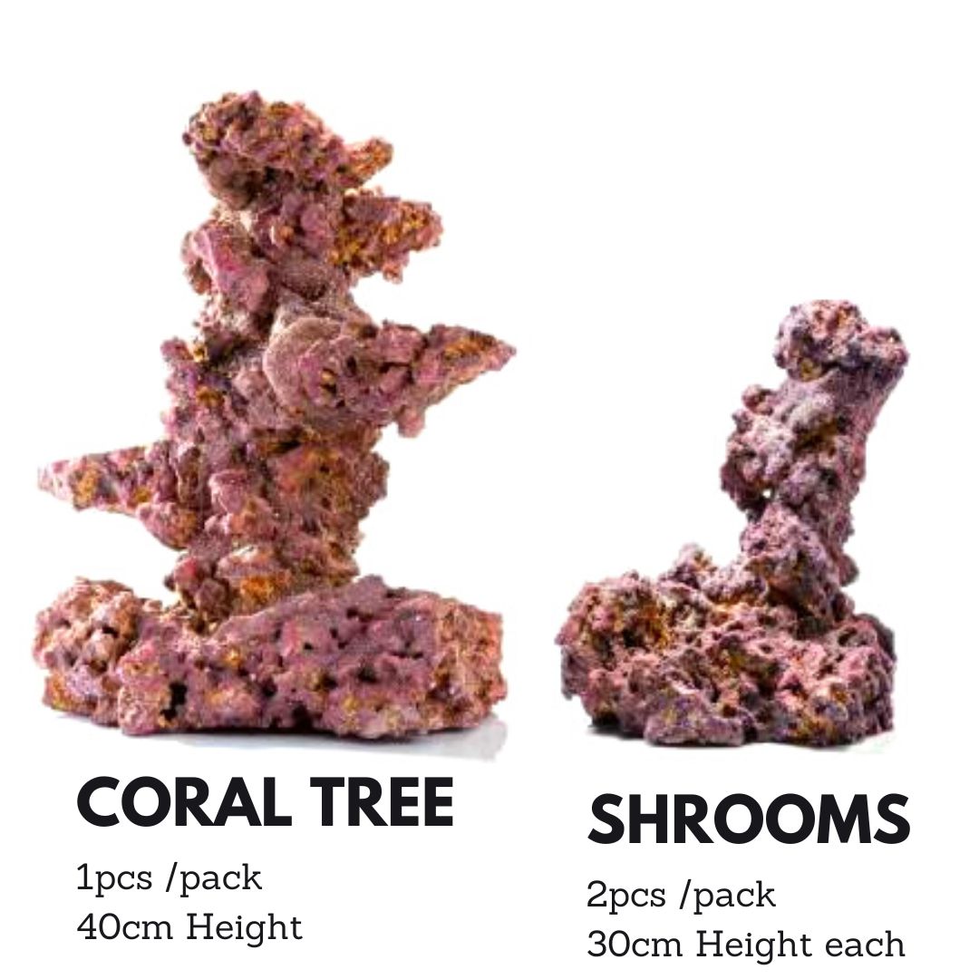 Caribsea LifeRock Dry Live Rock for Saltwater Aquarium - Natural Coral Reef Decor with Mushroom Corals (2 Pieces) - Perfect for Marine Tank Setup & Reef Aquascaping