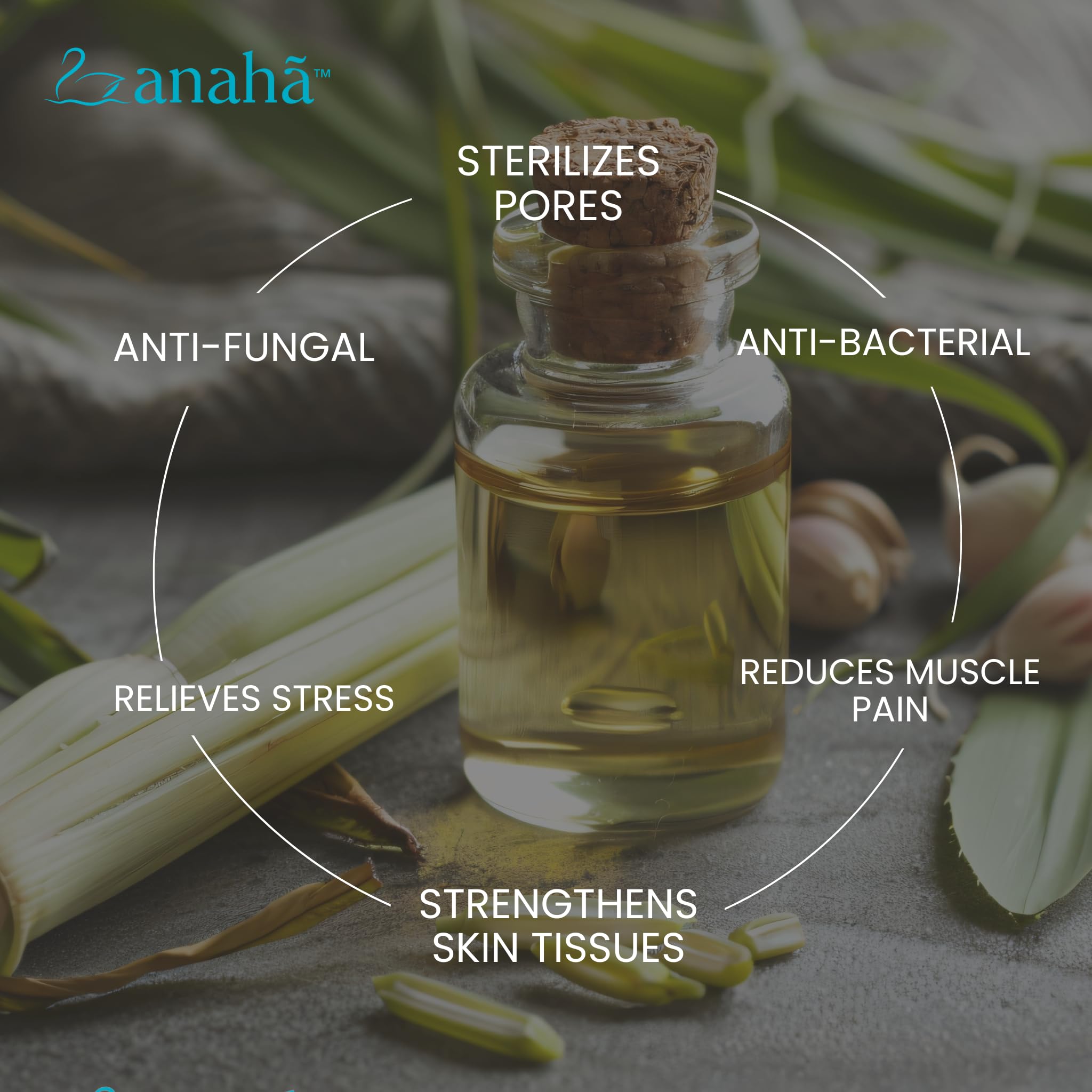 Anaha 100% Pure Lemongrass Essential Oil (30ml) - Steam Distilled, Therapeutic Grade for Aromatherapy, Skin & Hair Care | Natural Insect Repellent | Glass Bottle with Dropper | Perfect for Diffusers, Massage & DIY Beauty Products