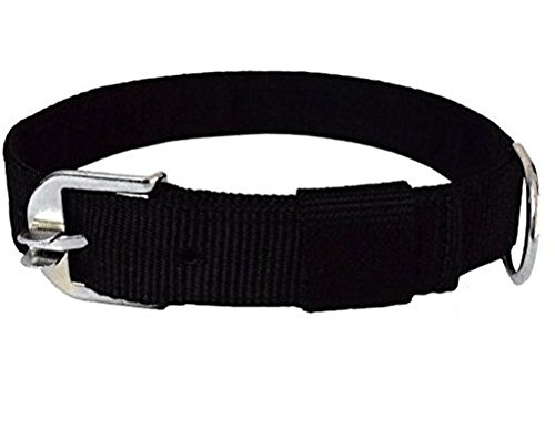 Premium 1-Inch Black Dog Collar for Medium Dogs - Durable & Adjustable Pet Collar for Walking, Training & Outdoor Adventures