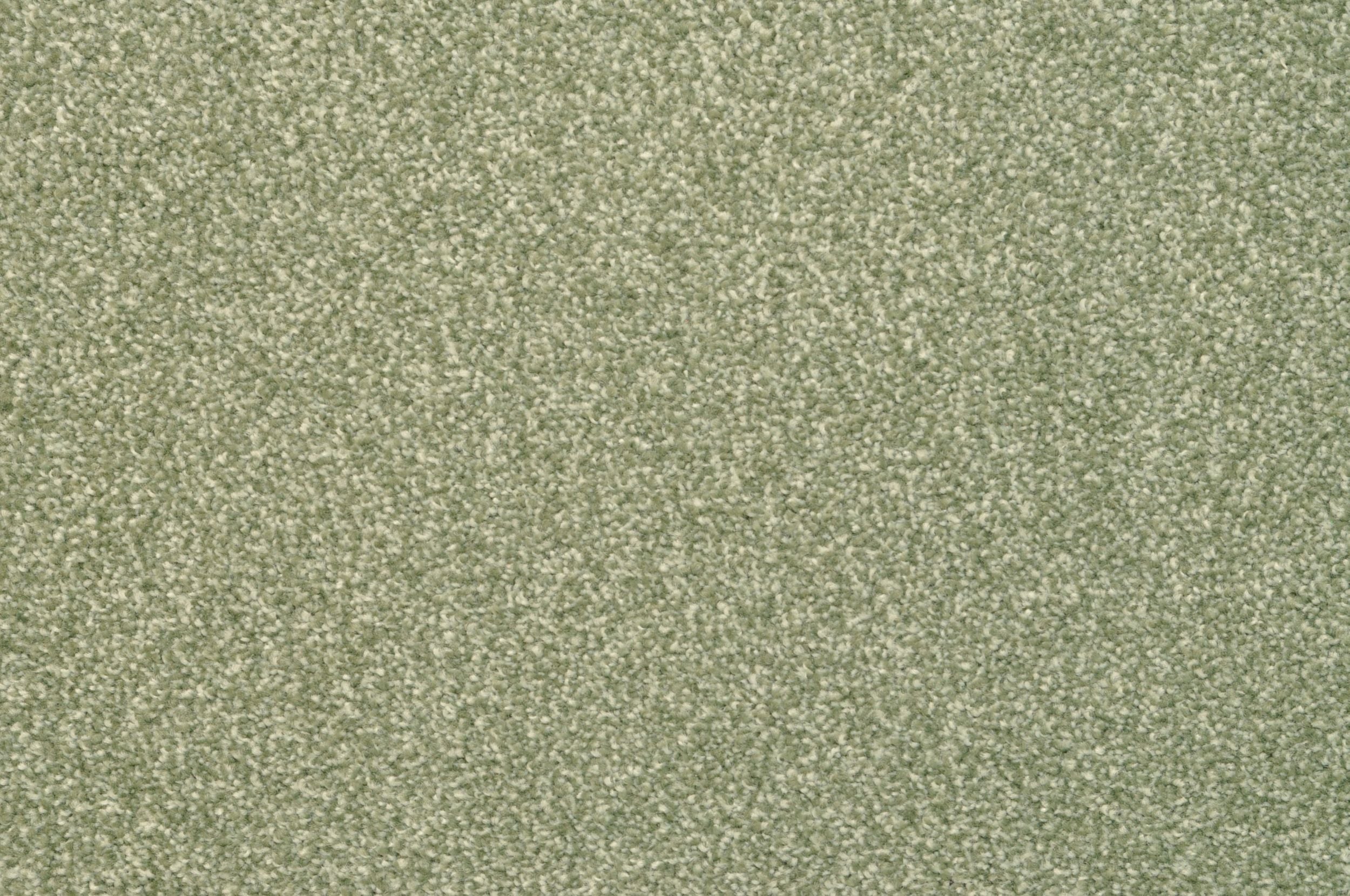 Bithia - Premium Quality Product for Your Everyday Needs | Perfect for Home, Office & Travel Use