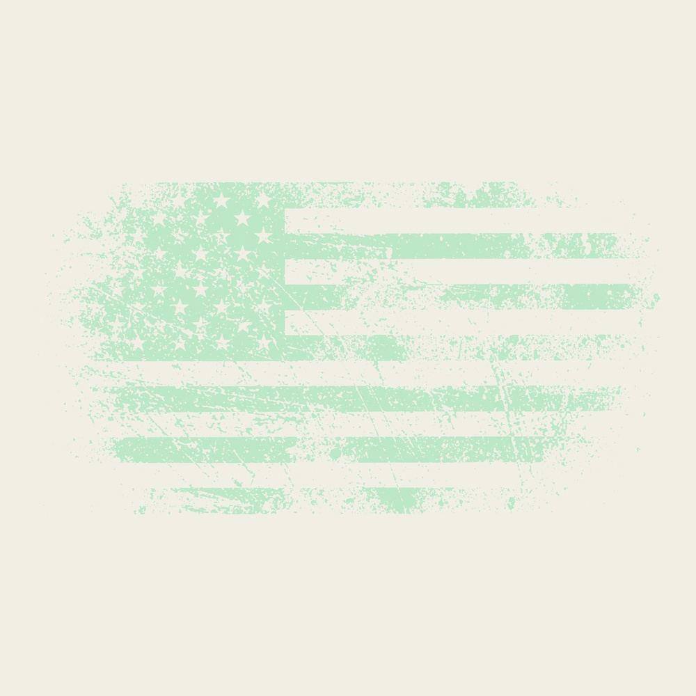 Vintage American Flag Cropped T-Shirt for Women - Natural Cotton Fit - Perfect for 4th of July, Patriotic Events & Casual Outfits