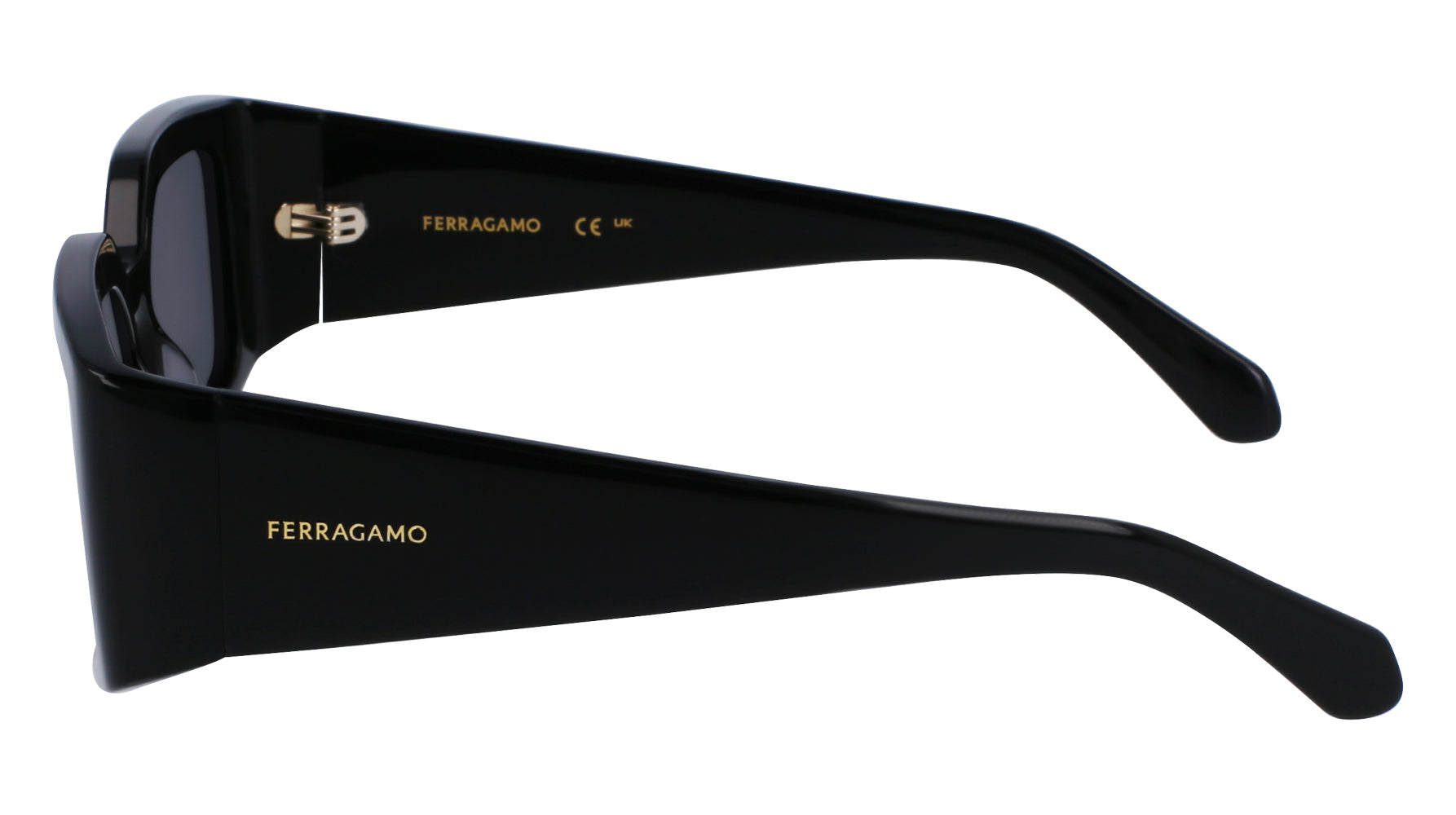 Ferragamo SF1101S Sunglasses - Luxury Designer Shades for Women & Men - UV Protection & Polarized Lenses - Perfect for Driving, Beach & Outdoor Activities