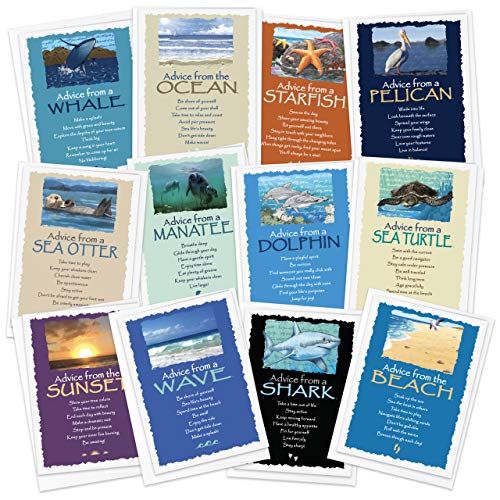 Ocean Set