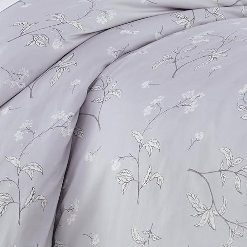 28 - Myosotis Grey