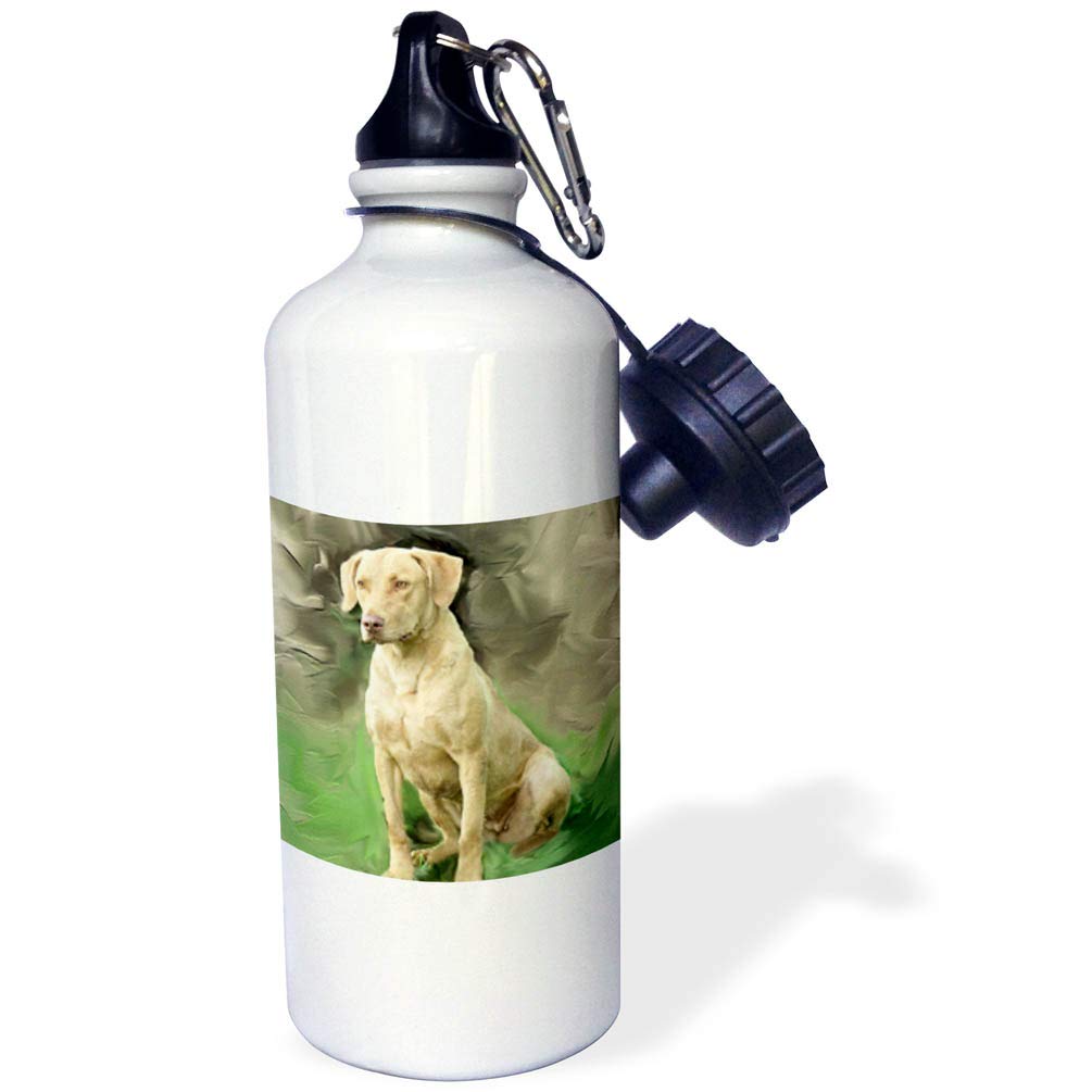 3D Rose Chesapeake Bay Retriever Dog Design 21 oz White Sports Water Bottle - Perfect for Gym, Hiking & Outdoor Activities