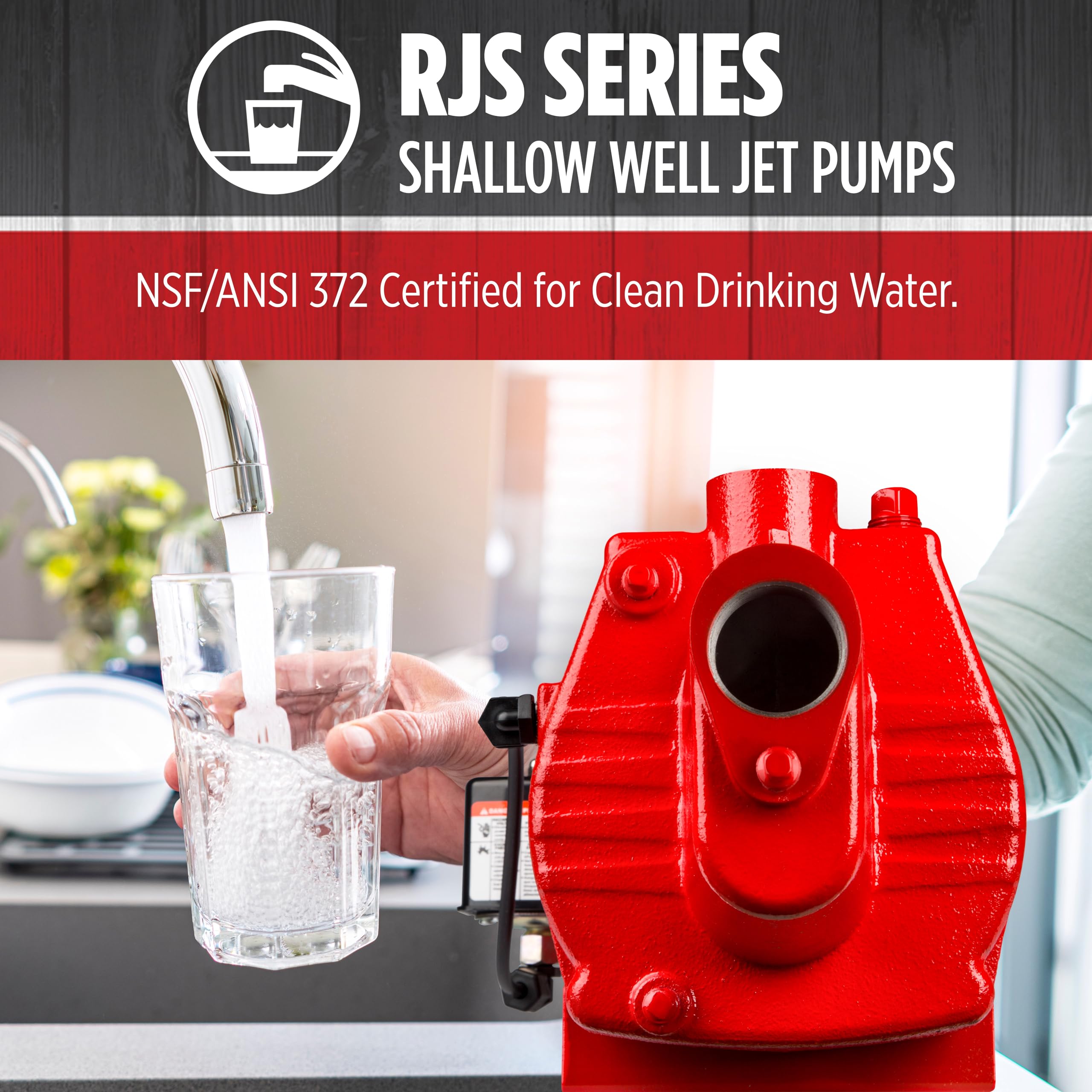 Red Lion RJS-50-PREM 1/2 HP Cast Iron Shallow Well Jet Pump - 12 GPM, 115/230V, Premium Performance for Home Water Supply, Irrigation & Farm Use