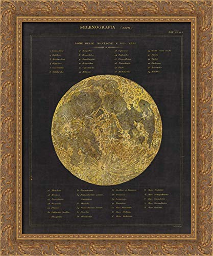 Canvas Art in a Gold Ornate Wood Frame