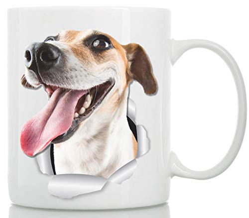 Happy Jack Russell