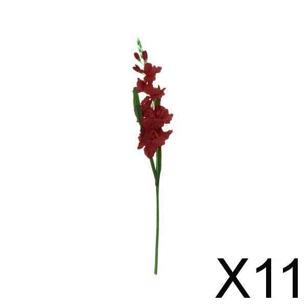 11 Red Gladiolus Bulbs for Planting - Vibrant Garden Flowers for Outdoor Landscaping, Wedding Bouquets, and Home Decor
