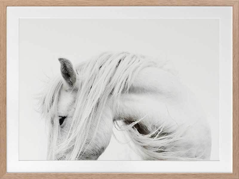 Bashful Framed Art Print - Elegant Wall Decor for Living Room, Bedroom & Office - Perfect Home Decoration Gift