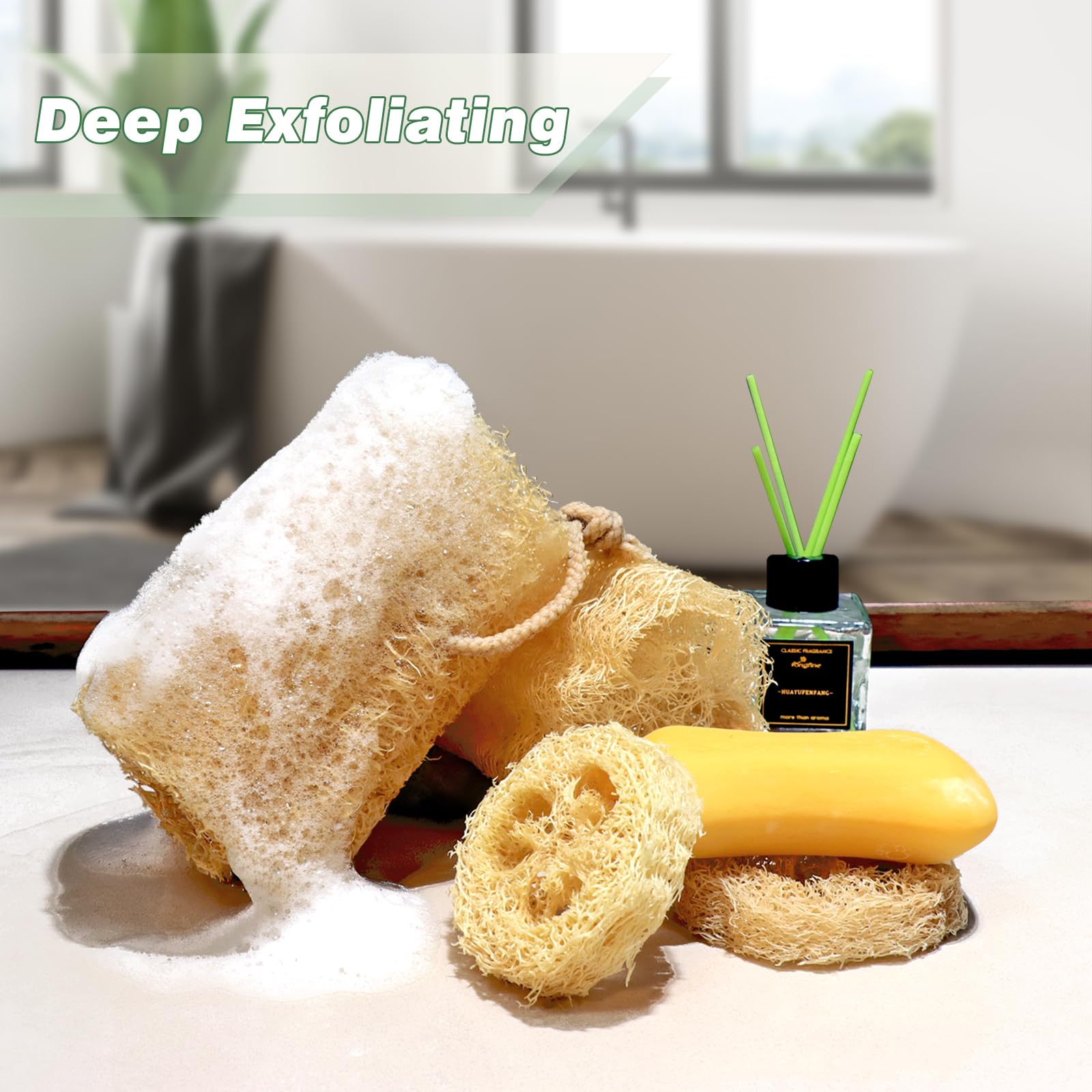 Organic Loofah Sponge Set - 6 Pack Natural Exfoliating Body Scrubber for Men & Women | Eco-Friendly Bath & Shower Skin Care Tool for Back, Face & Body Cleansing | Perfect for Daily Exfoliation & Spa-Like Experience at Home
