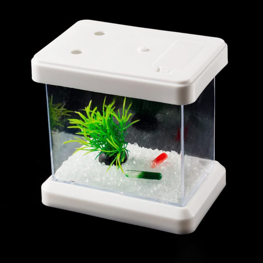 EastVita Small Betta Fish Tank - 1 Gallon Mini Aquarium with Color Changing LED Lights, Detachable Desktop Viewing Box for Betta Fish, Goldfish, Shrimp, Turtle, Reptile, Jellyfish, Moss Balls - Perfect for Home, Office, Dorm Room Decor & Relaxation