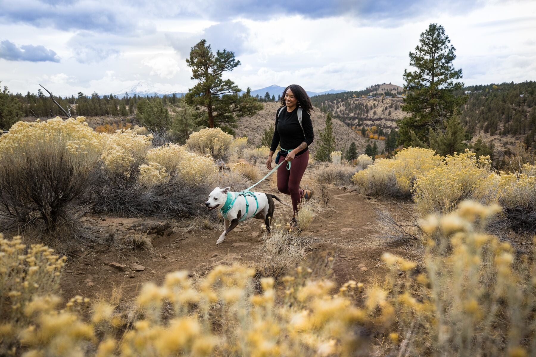 Ruffwear Flagline Harness® - Adjustable Multi-Use Dog Harness in High-Visibility Lichen Green for Hiking, Running & Outdoor Adventures