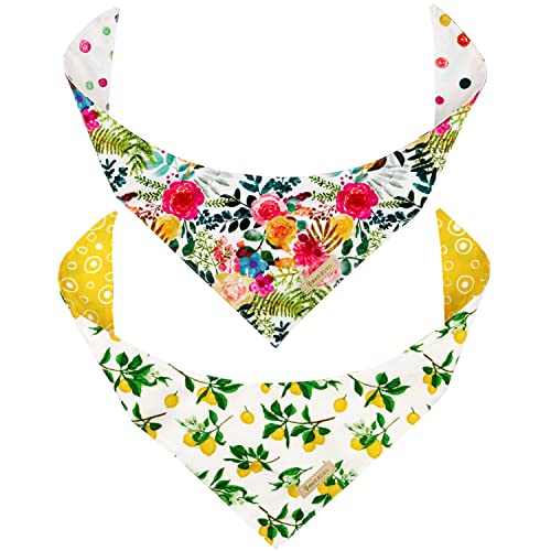 Spring Colors & Yellow Lemon (2 Reversible Bandanas)