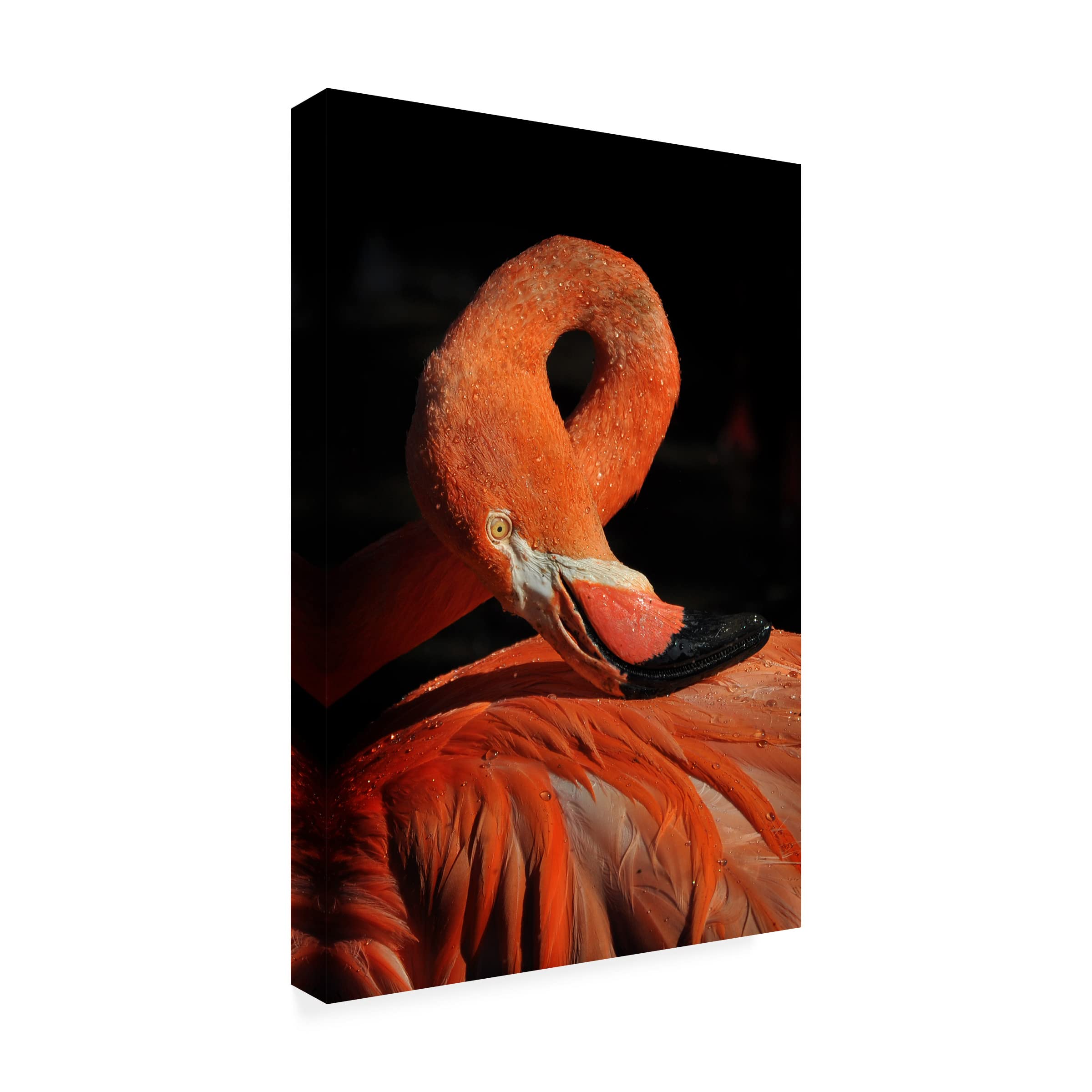 Loop Flamingo Canvas Wall Art Print by Zdenek Vales - Tropical Pink Flamingo Painting for Living Room, Bedroom & Office Decor