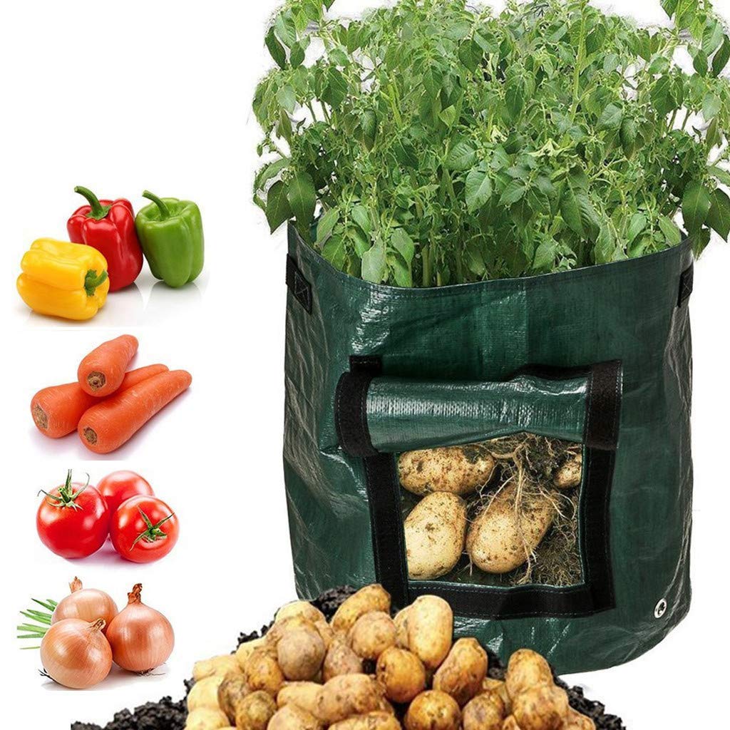 2 Pack Potato Grow Bags with Handles & Access Flap - Durable Garden Planting Bags for Potatoes, Carrots, Onions, Taro, Radish & Peanuts - Perfect for Home Gardening, Urban Farming & Small Space Vegetable Cultivation