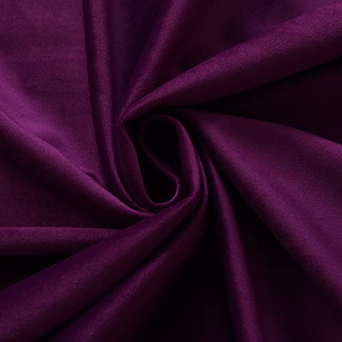 Purple Orchid