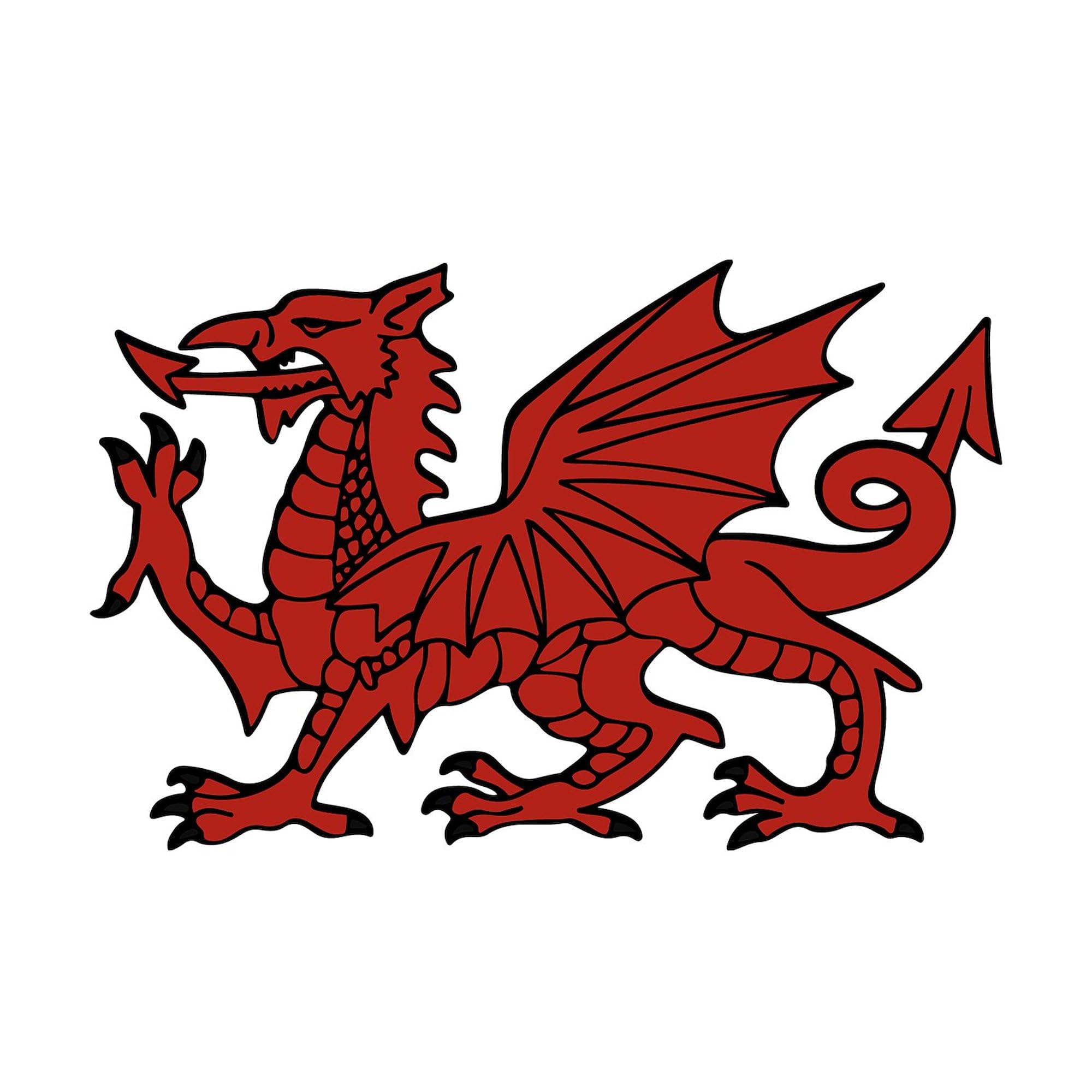 Flint Dragon Car Bumper Sticker - Oval Decal for Vehicles & Laptops