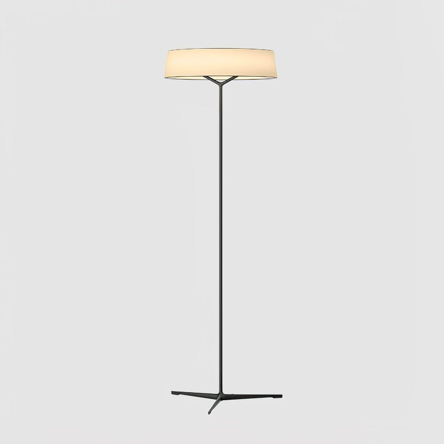 Modern DAMA Floor Lamp - Adjustable LED Standing Light for Living Room, Bedroom & Office - Warm White & Cool White Light Modes - Perfect for Reading, Relaxing & Decorating