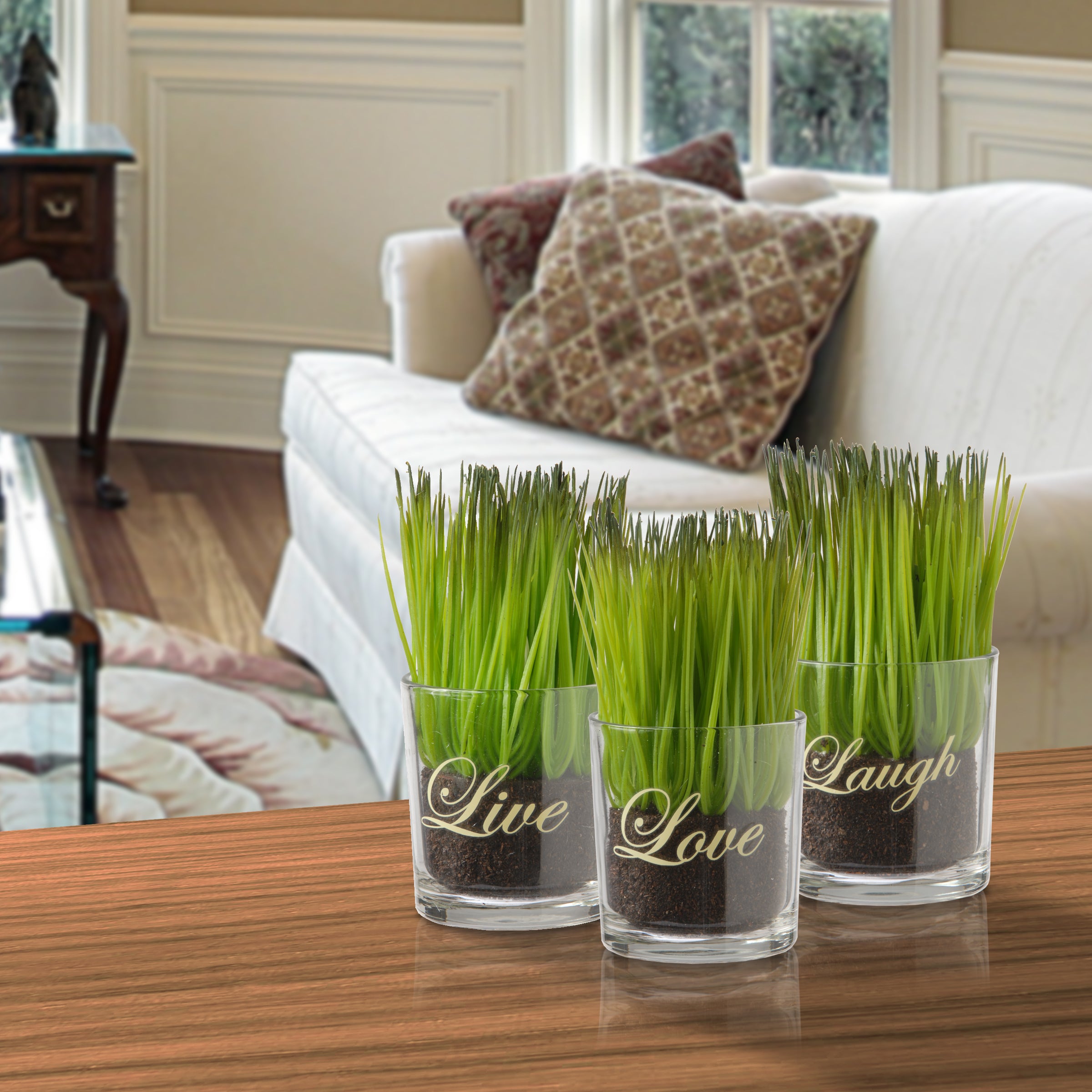 6 Inch 3-Piece Potted Plant Set - Green Succulent Plants in Square Glass Pots with Inspirational Messages - Perfect for Home Decor, Office Desk & Gift Giving