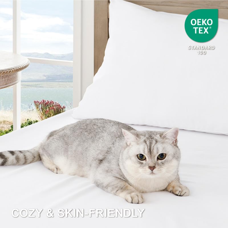 FreshCulture Queen Sheet Set - Ultra Soft Brushed Microfiber Bed Sheets for Queen Size Bed - Deep Pocket Fitted Sheet with Cooling & Breathable Fabric - 4 Piece Luxury Hotel Quality Bedding Set (White) - Perfect for Home, Guest Room, and Vacation Rental Comfort