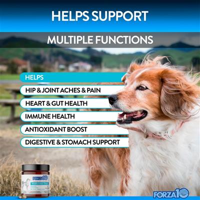 Forza10 Multifunctional Dog Supplement Chews - Supports Joint Health, Digestion & Immunity - Ideal for Active Dogs & Senior Pets